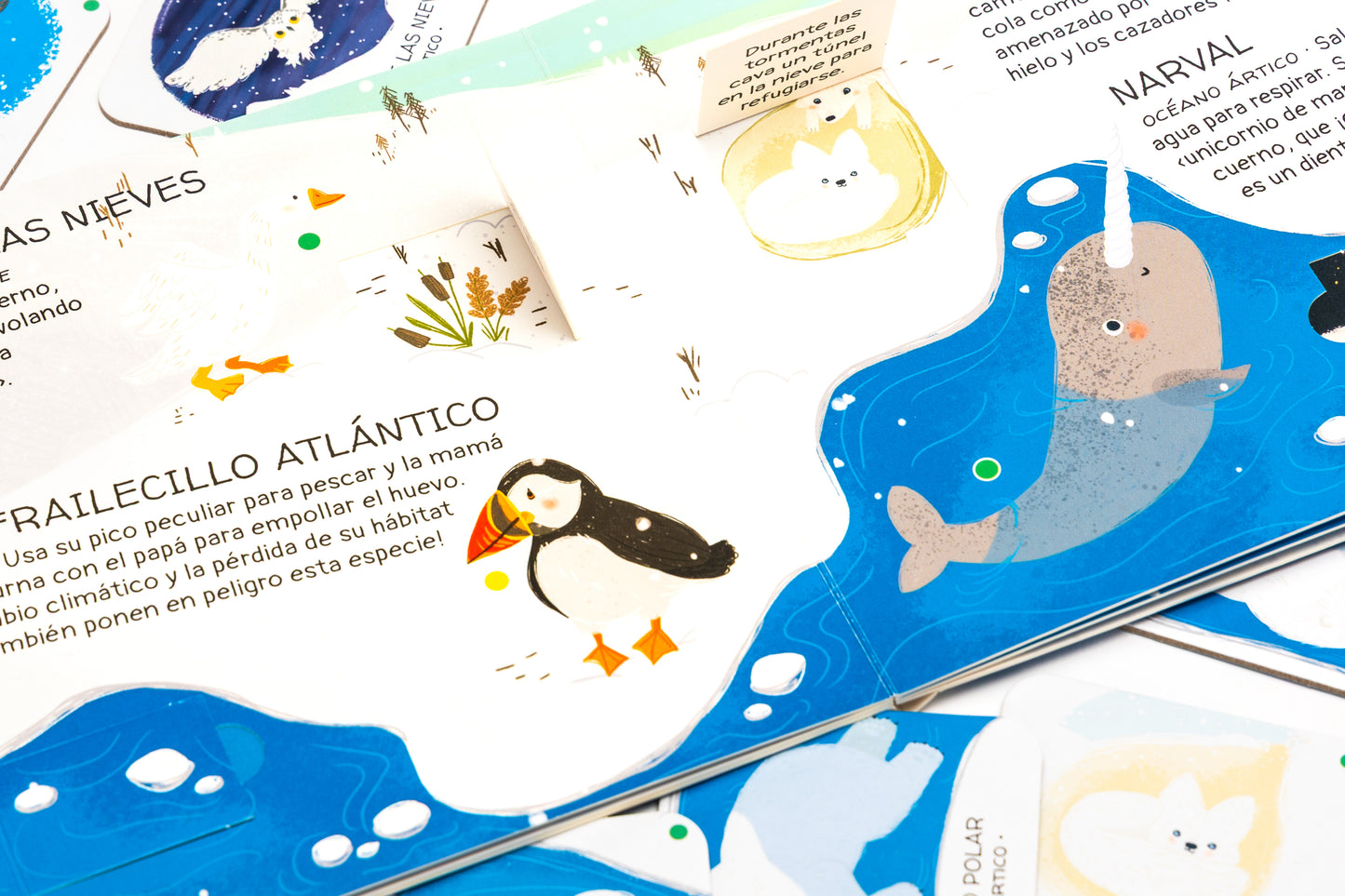 Animales por salvar hielos polares