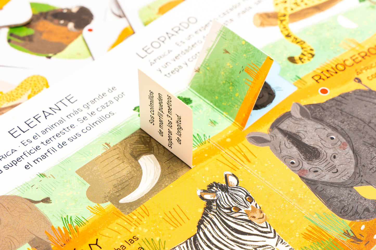 Animales por salvar desiertos y sabana