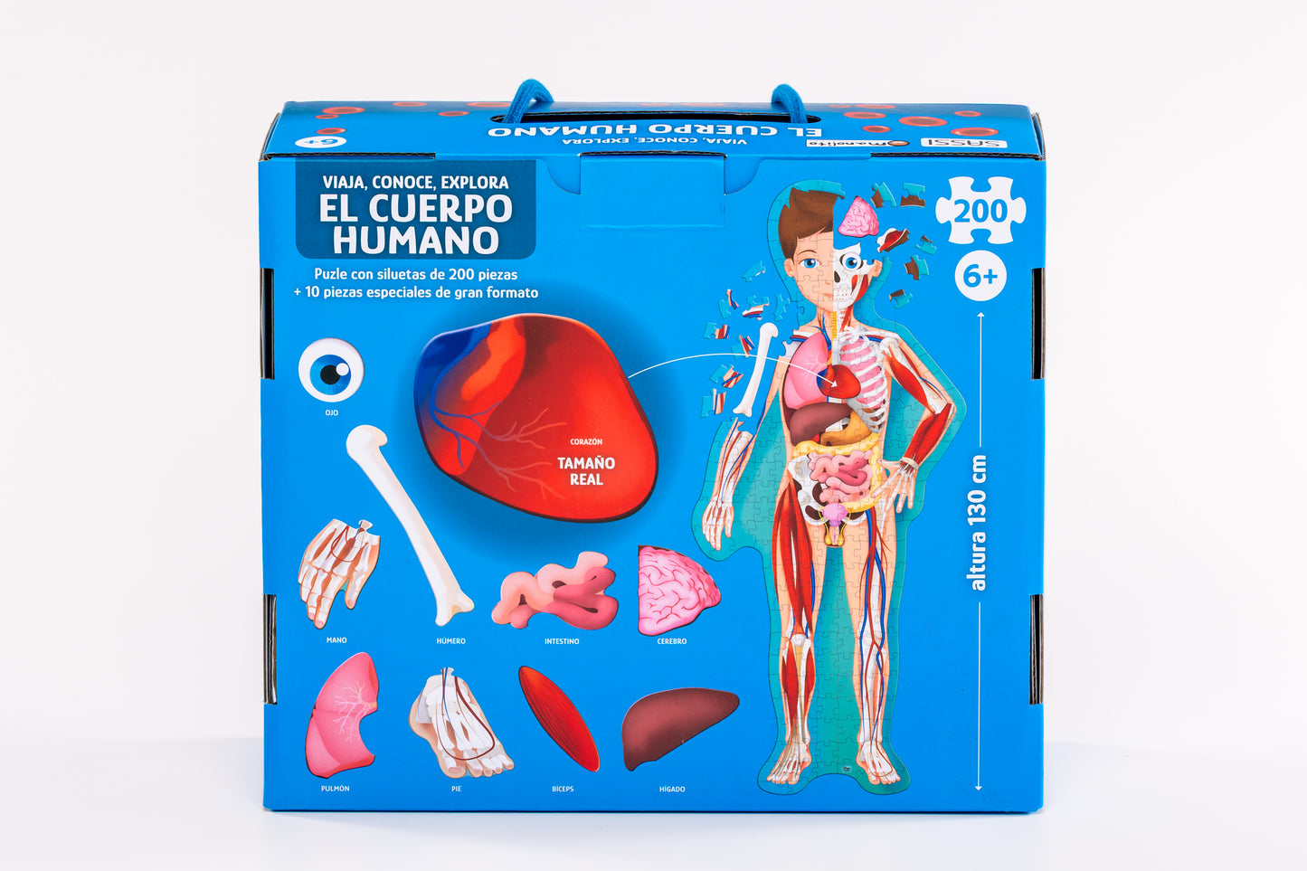 Cuerpo humano nueva edicion