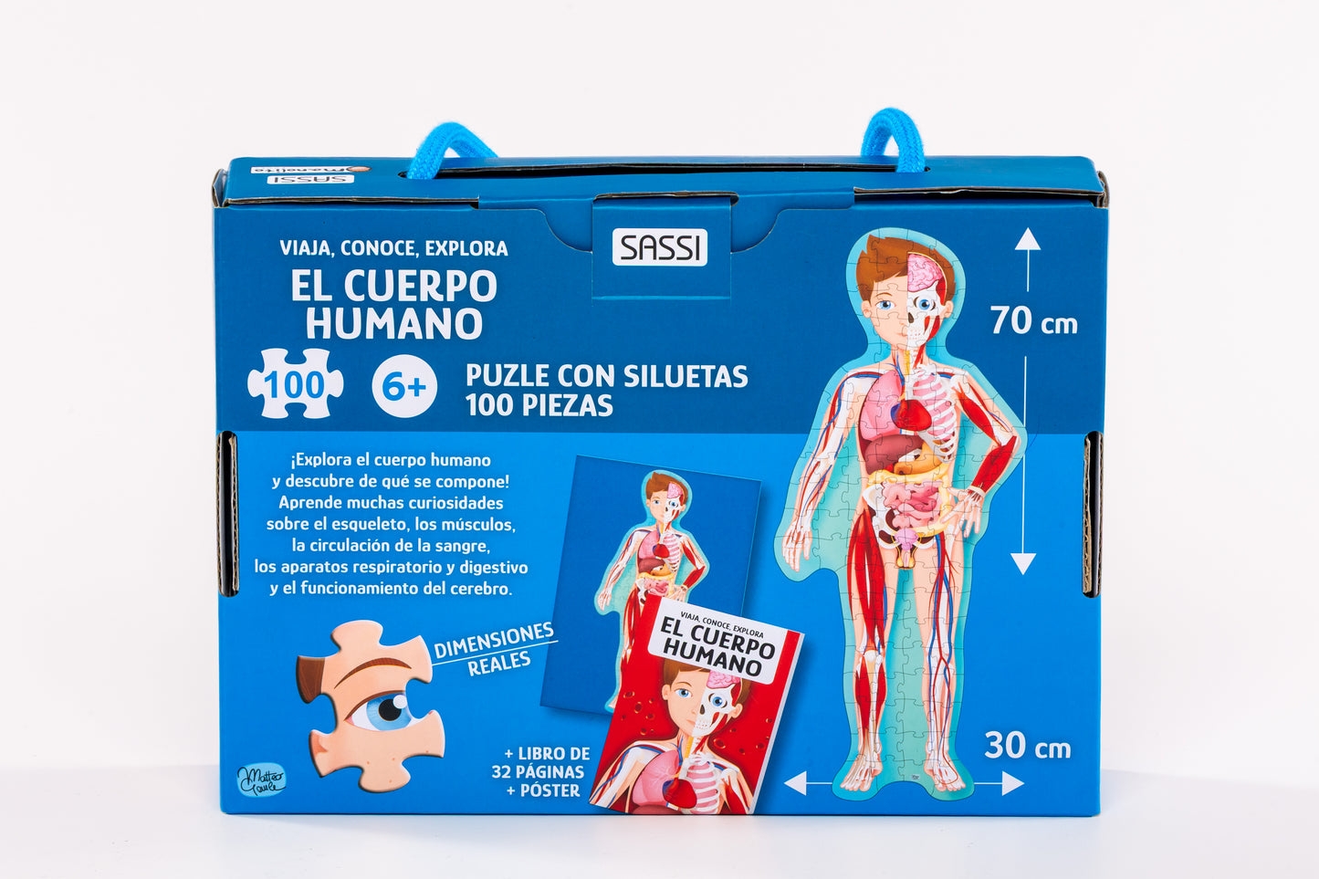 Cuerpo humano