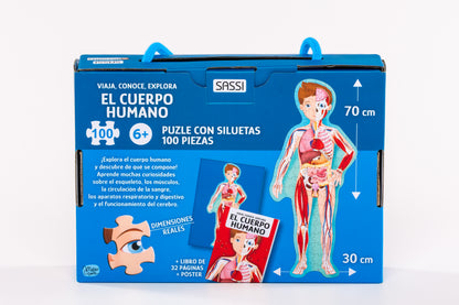 Cuerpo humano