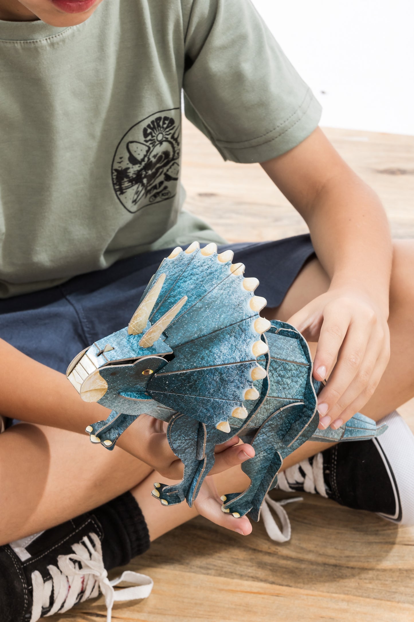 Triceratops la era de los dinosaurios