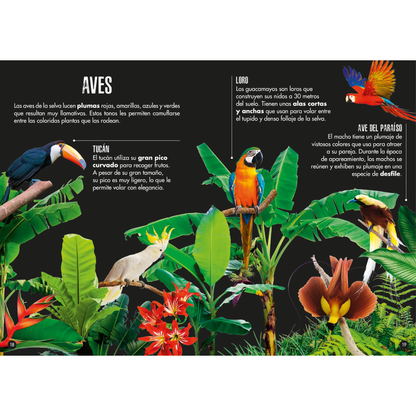 La Selva El elefante