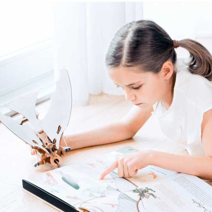 Los ingenios de leonardo da vinci