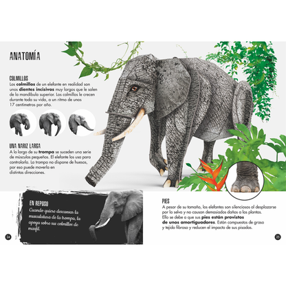 La Selva El elefante