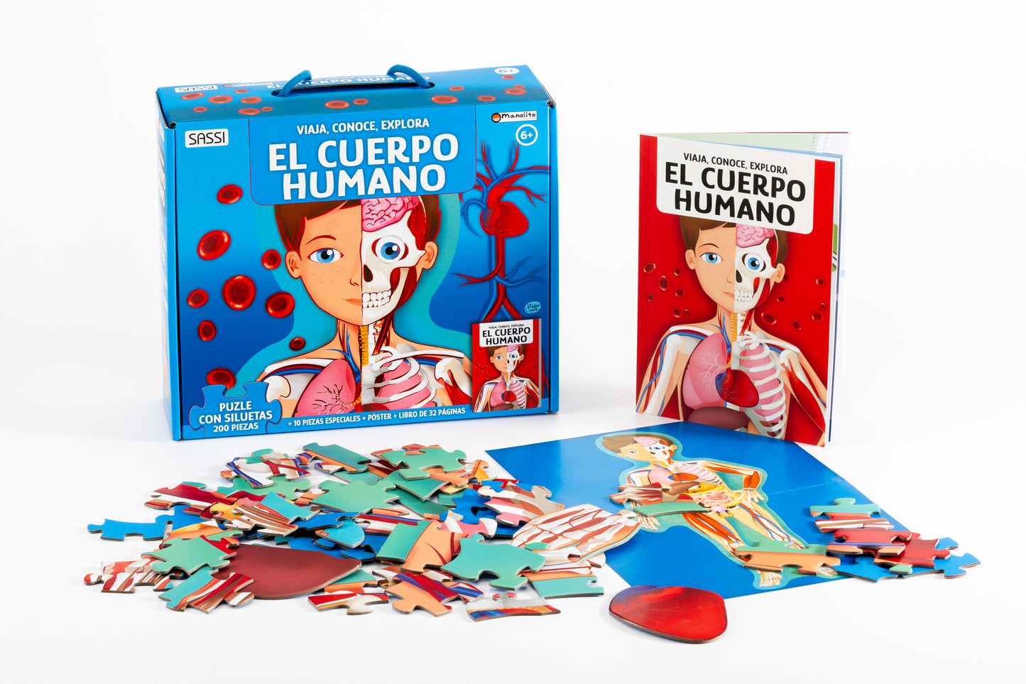 Cuerpo humano