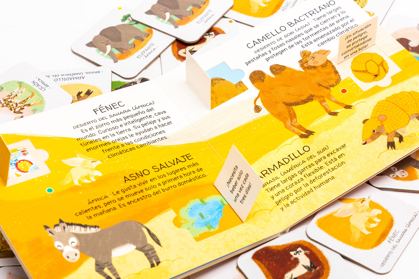 Animales por salvar desiertos y sabana