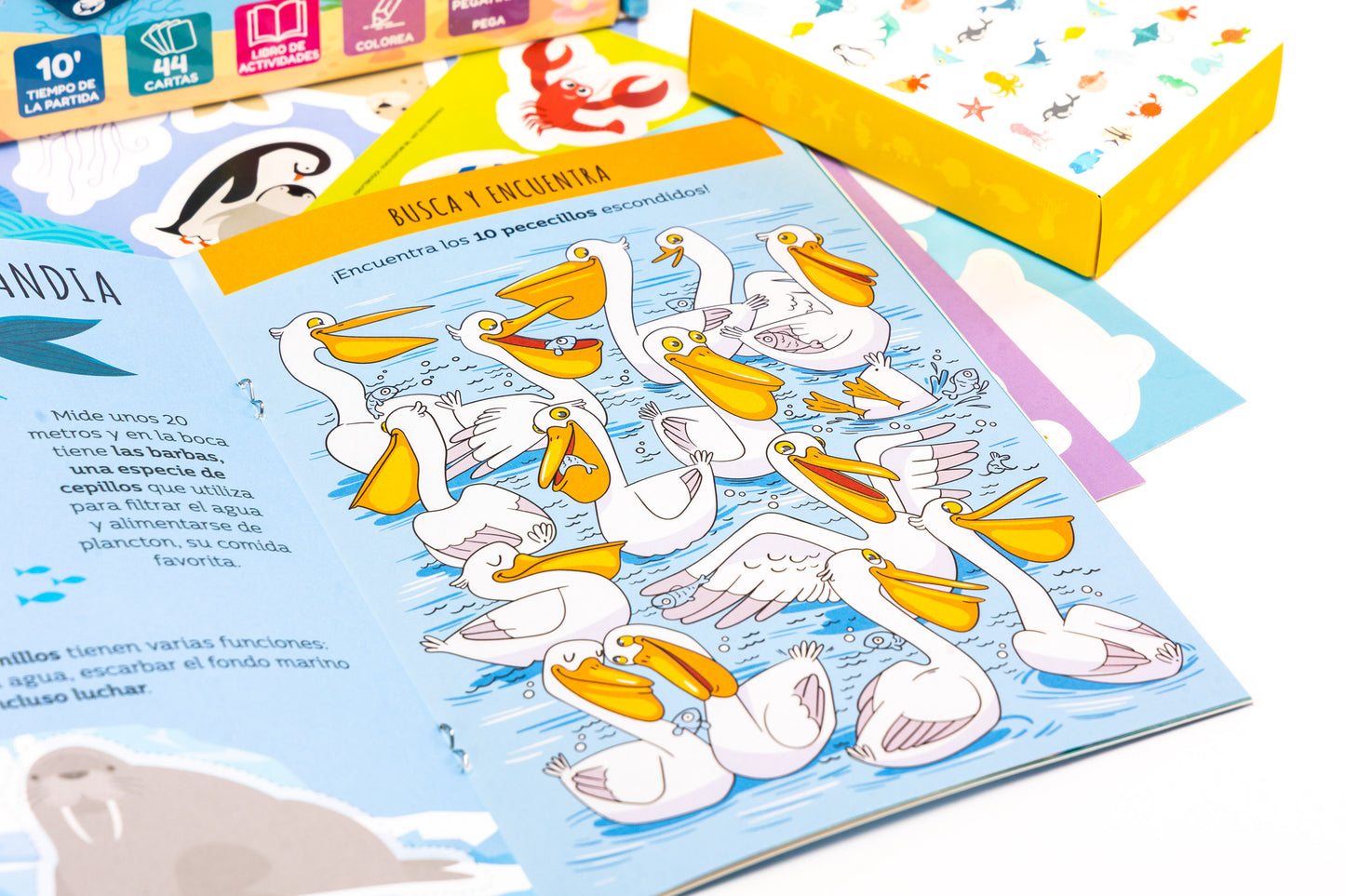 ¡Cuidado con el tiburon!