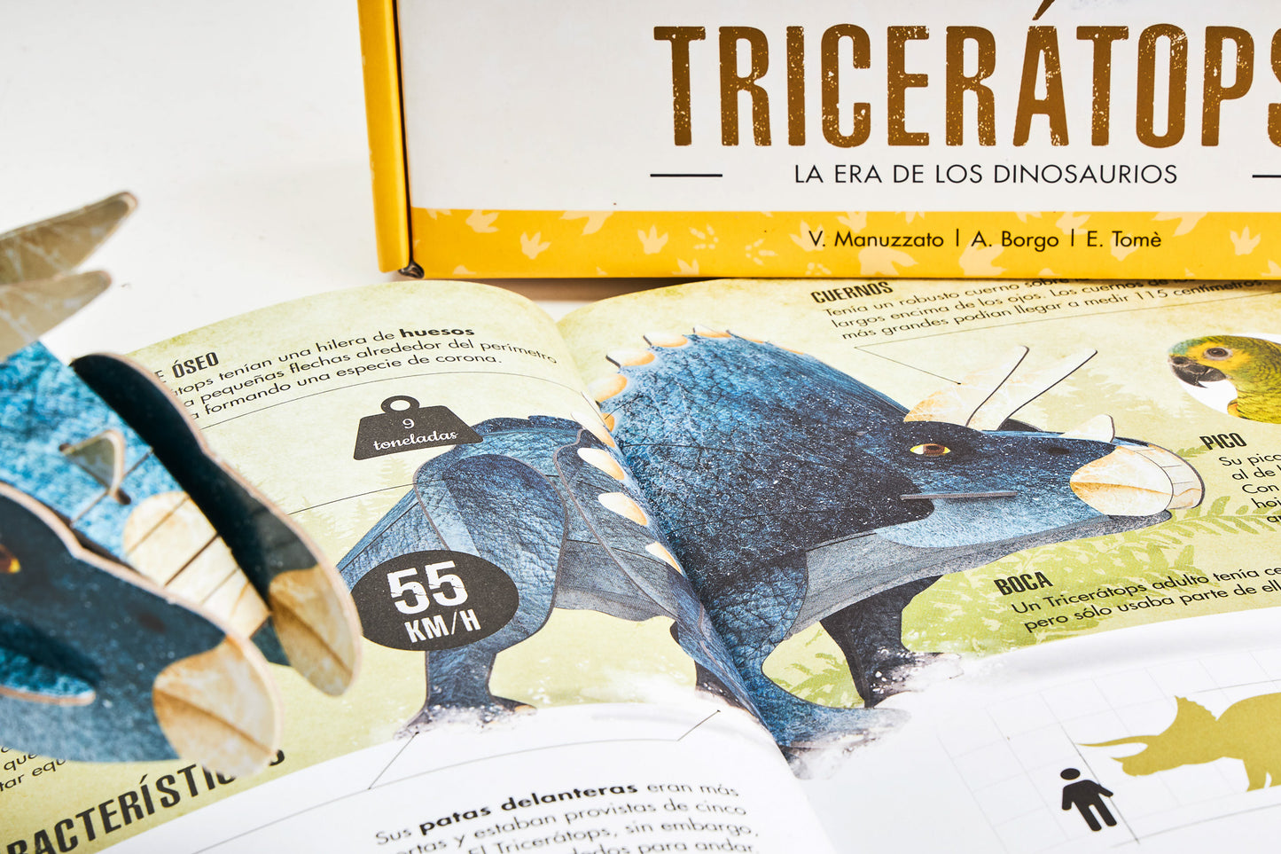 Triceratops la era de los dinosaurios
